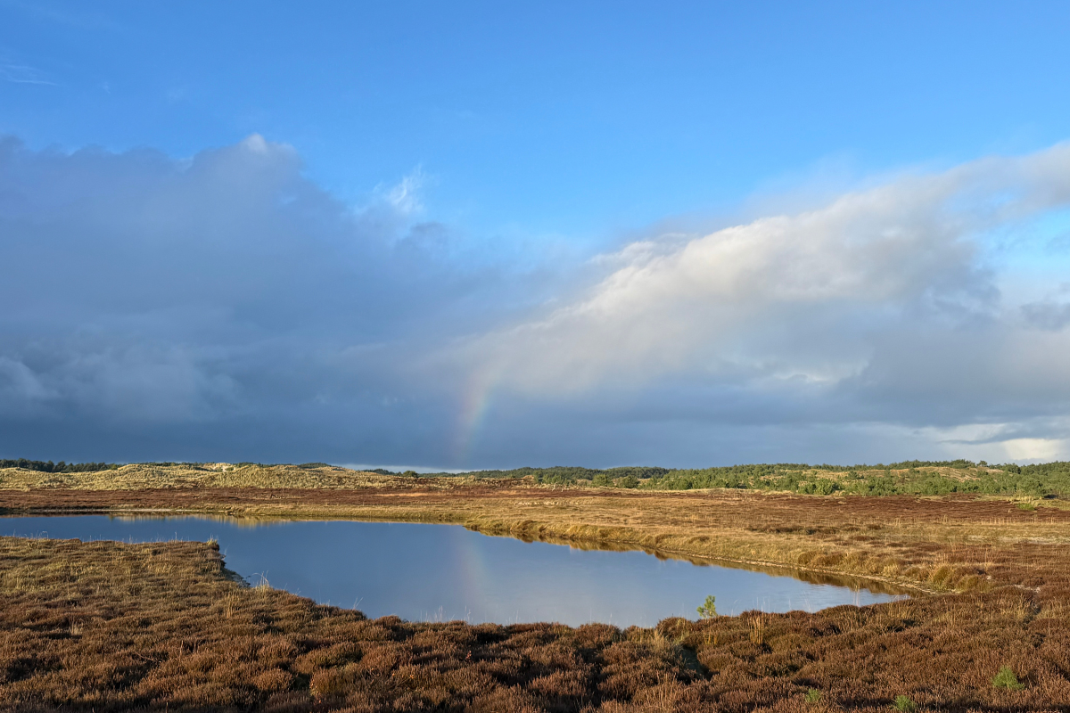 een meer op de weide en op de achtergrond een regenboog
